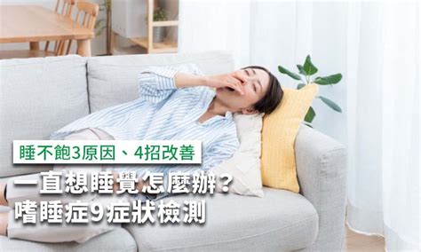 老是想睡覺|一直想睡覺怎麼辦？嗜睡症9症狀檢測，睡不飽3原因